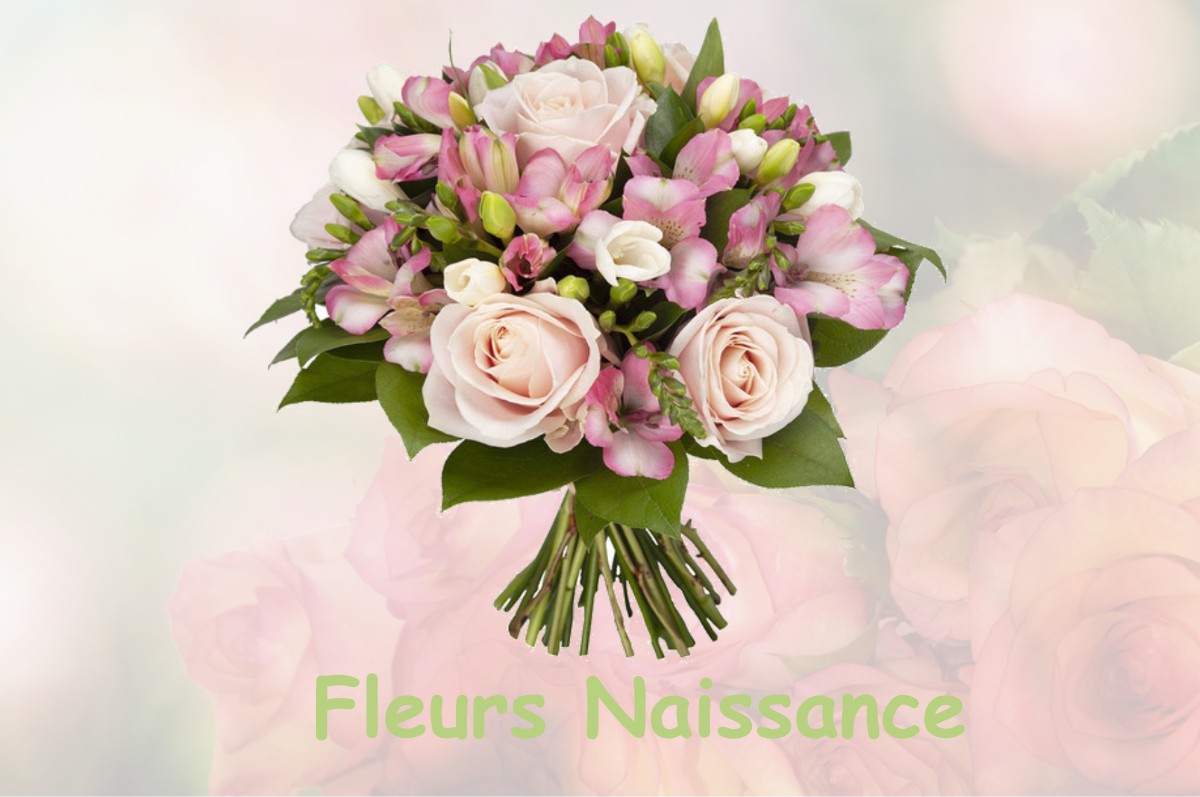 fleurs naissance CHATELUS-LE-MARCHEIX
