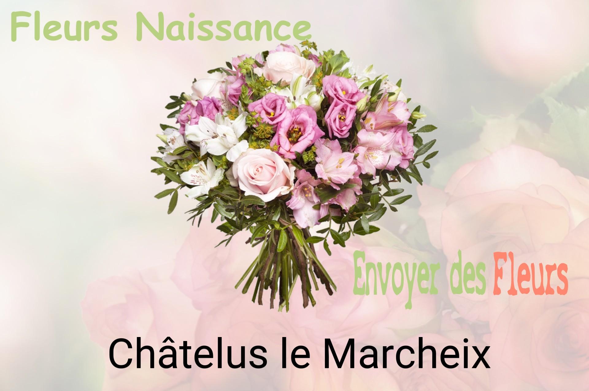 Bouquet de fleurs de naissance livré à Châtelus-le-Marcheix