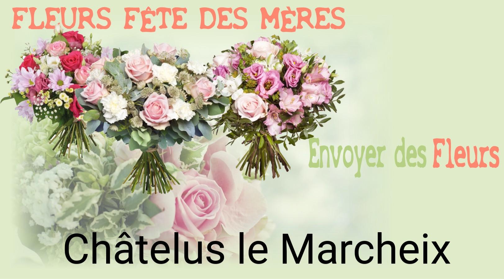 Bouquet de Fête des Mères livré à Châtelus-le-Marcheix